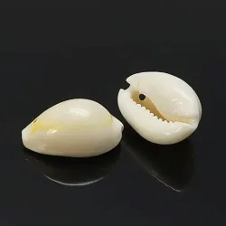 Pandantive scoică Cowrie, albe