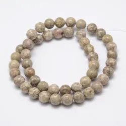 Mărgele coral fosil natural