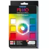 FIMO Professional - set 6 culori -510g